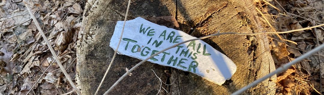 Photo of a stone sitting on a stump. The stone has the text "we are all in this together" painted on it.