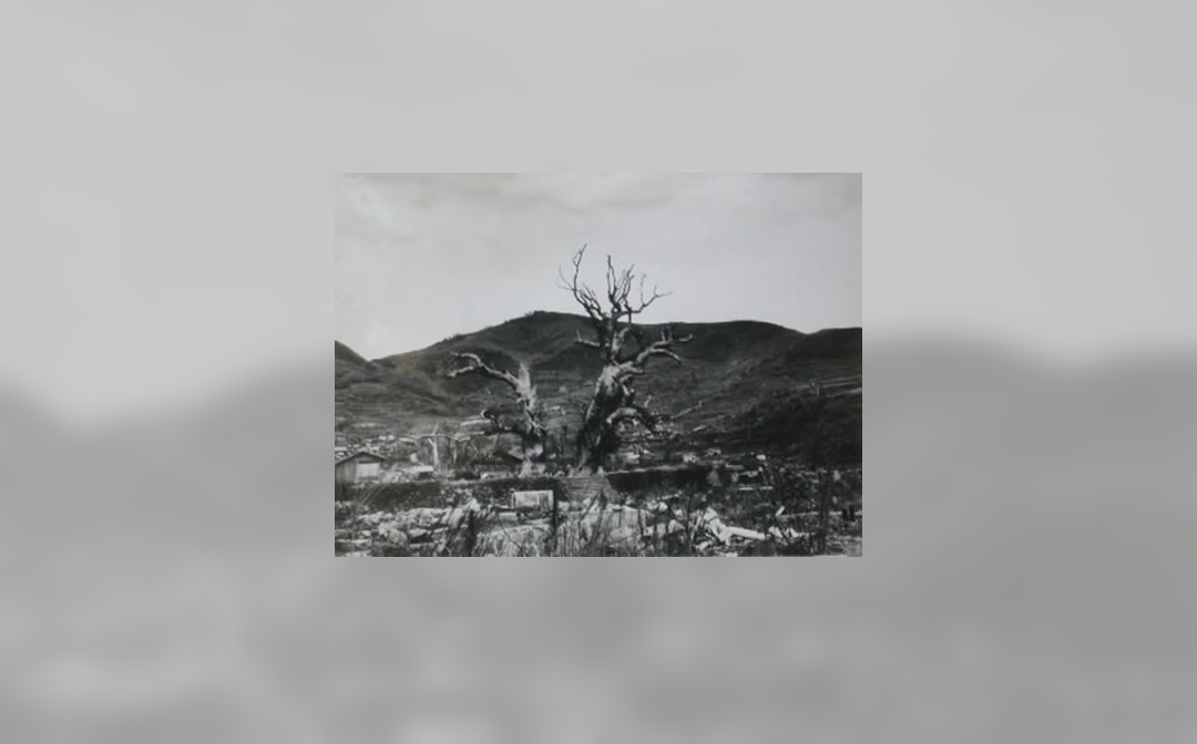 Black and white photo of a dead tree on a barren landscape with mountains in the background