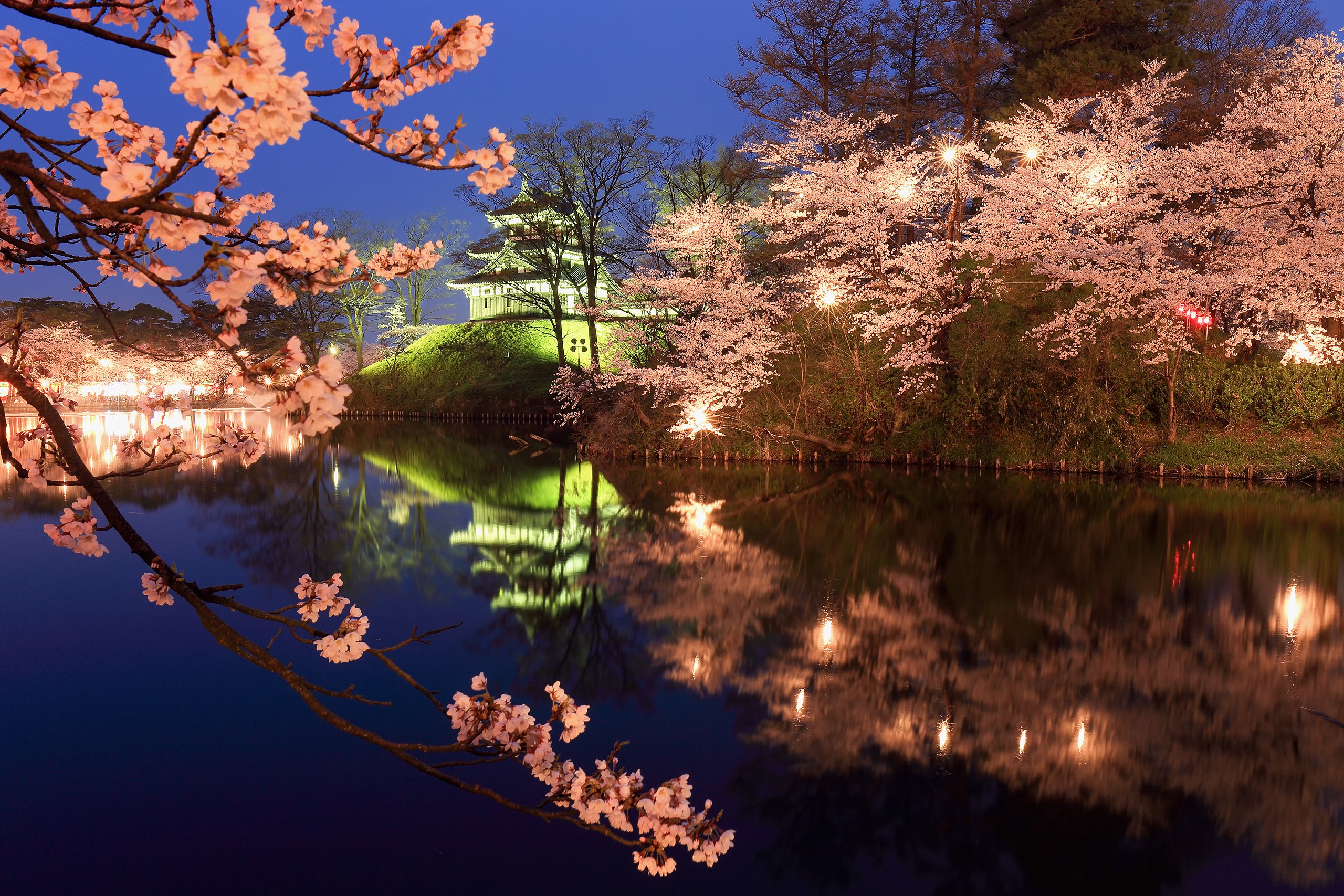 Takada Cherry Blossom Festival  Travel Japan - Japan National