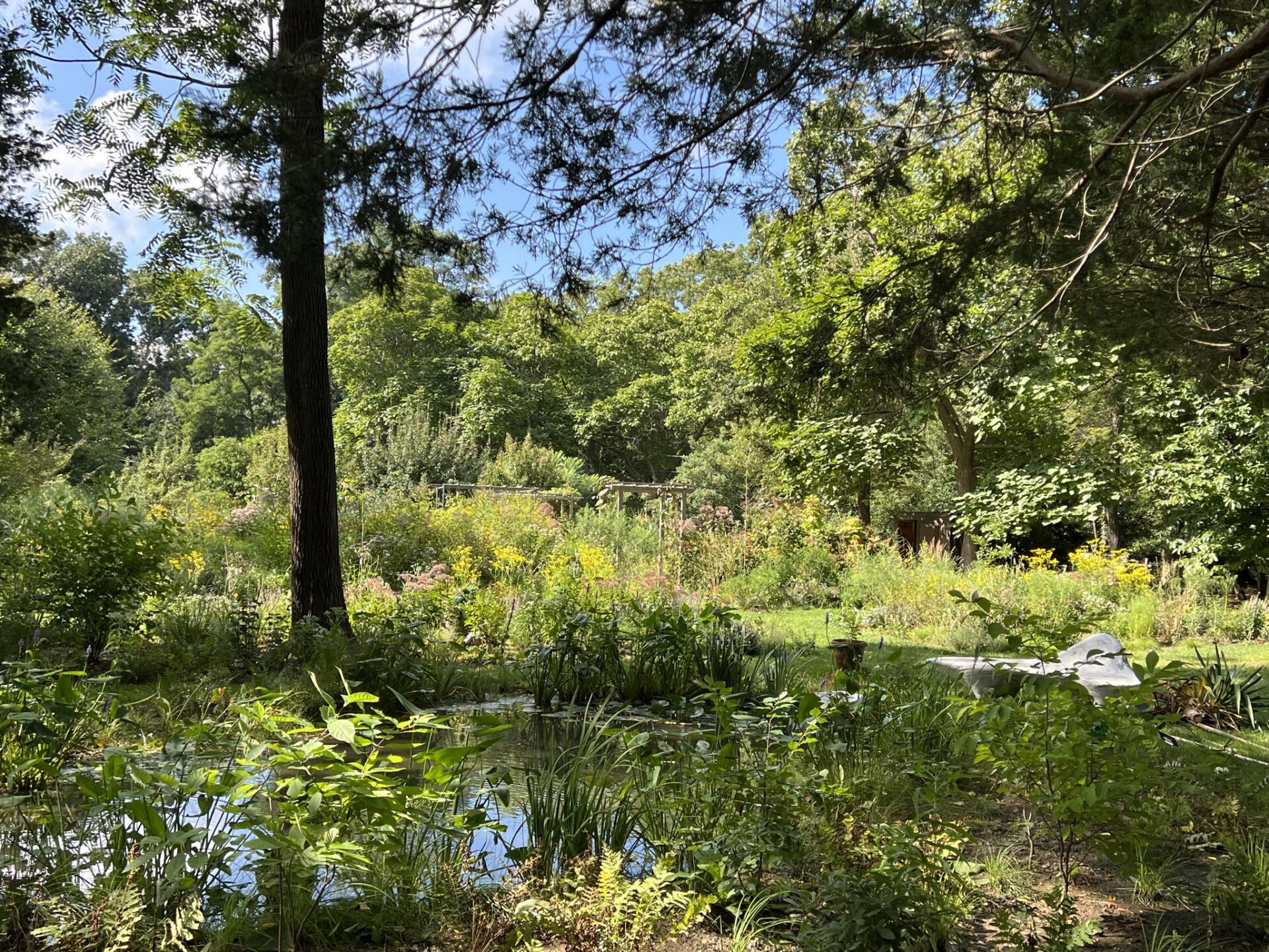 Edwina von Gal on Ecological Action and Habitat Restoration World