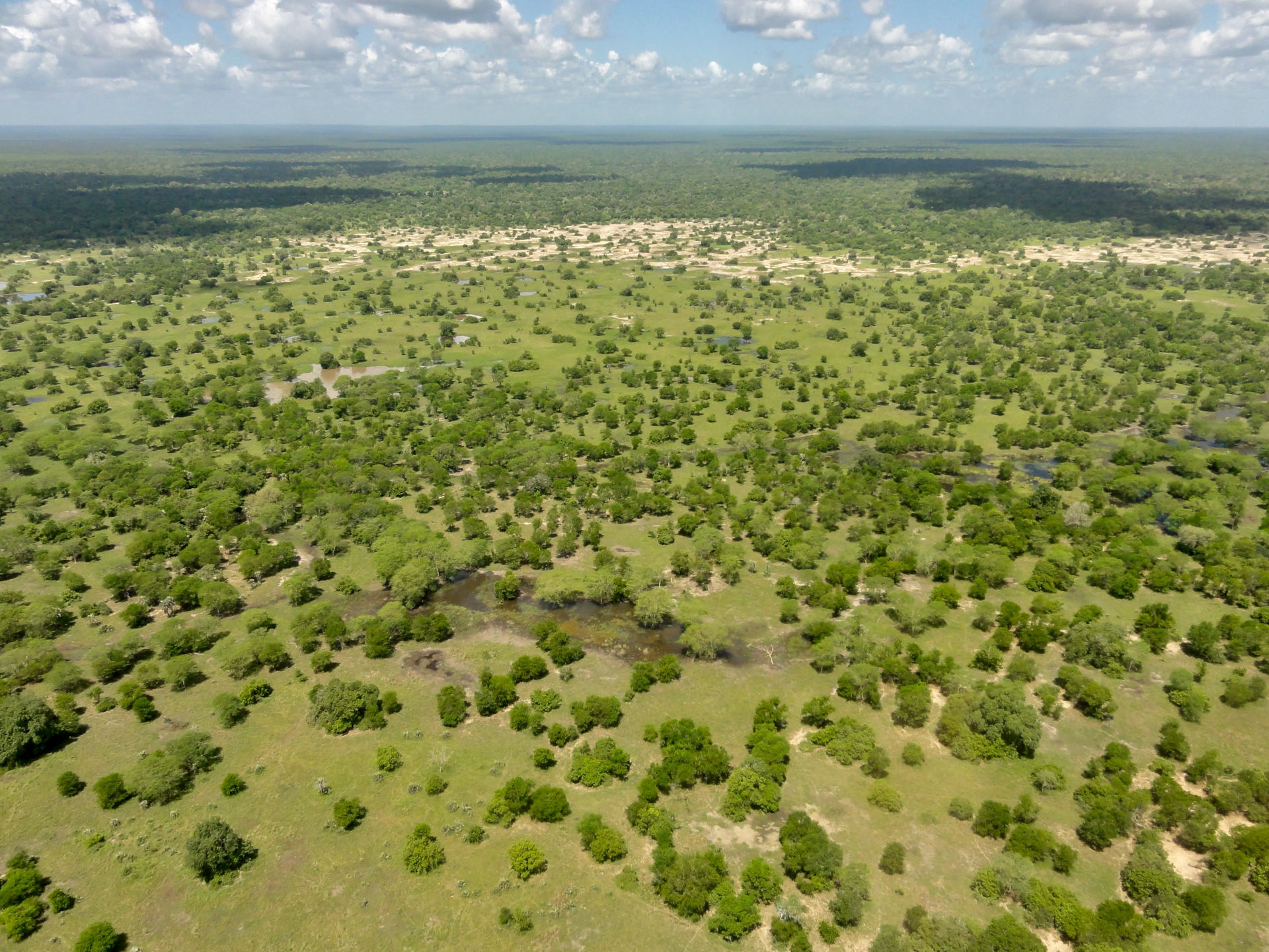 Dr. Marc Stalmans is the Director of Science at Gorongosa National Park in Mozambique. Born in the DRC, Congo, Kinshasa to Belgian parents, the family