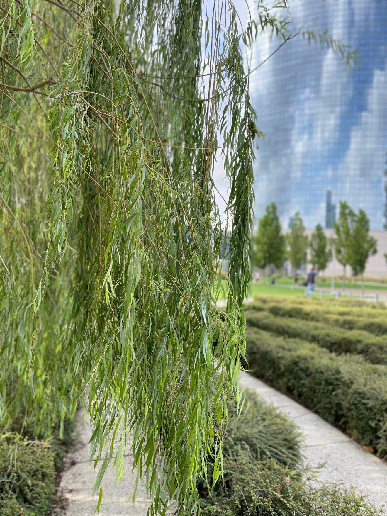 The Greening of Milan Porta Nuova and Vertical Forest World
