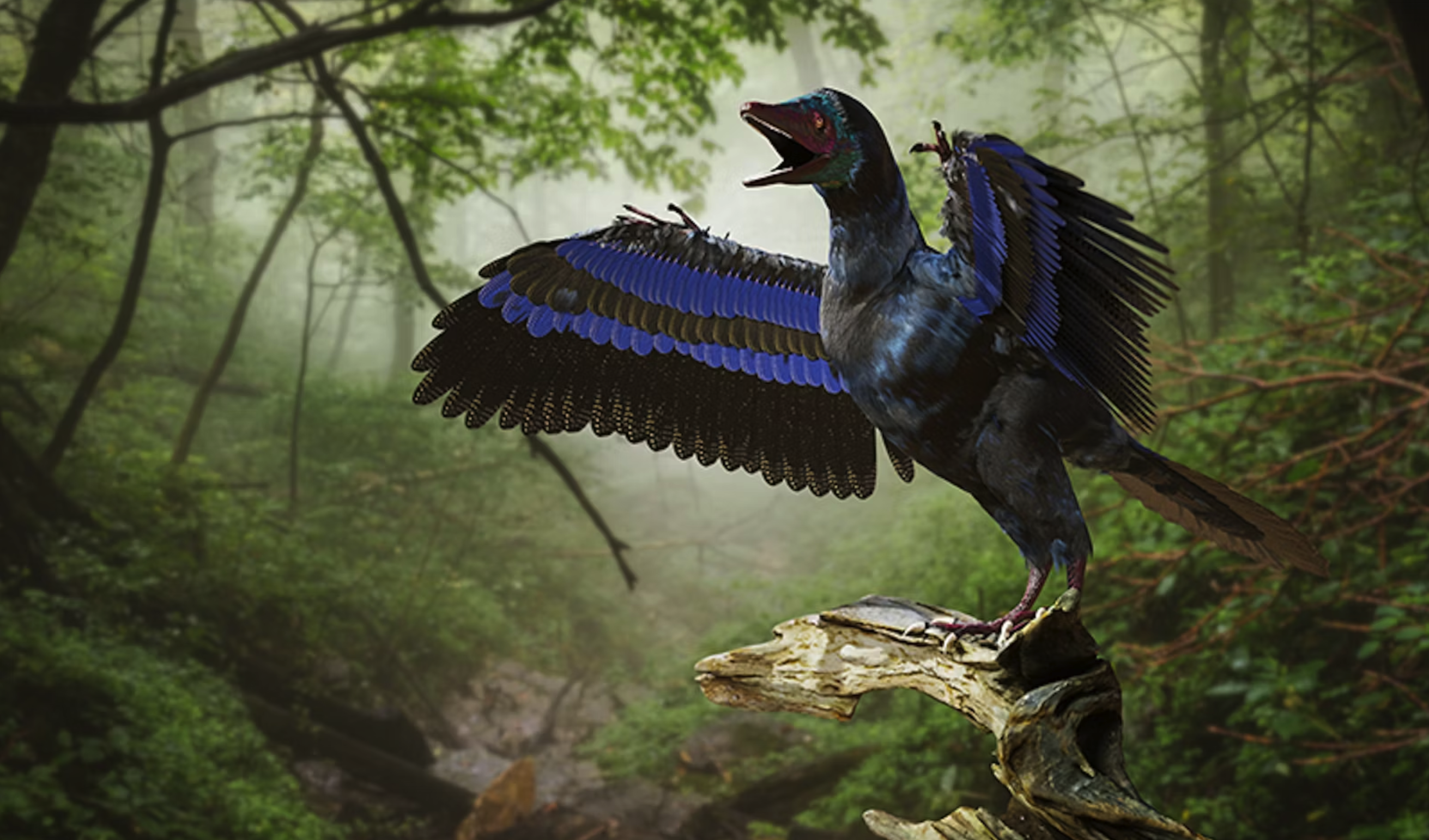 The archeopteryx, a small animal that lived around 150 million years ago, resembles a cross between an ancient Jurassic dinosaur and a modern-day bird