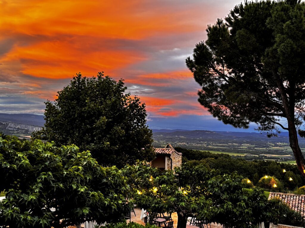 Lavender Fields France World Sensorium