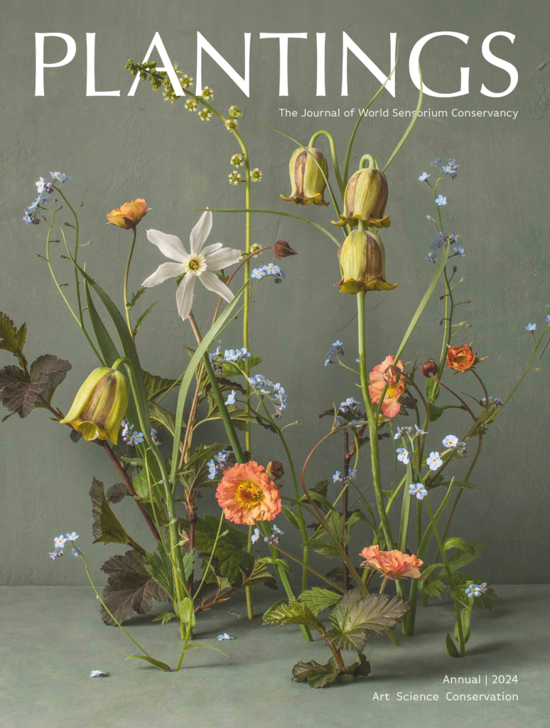 World Sensorium Conservancy Plantings Print Annual 2024  Magazine Order Now Plants Flowers Art Science Conservation