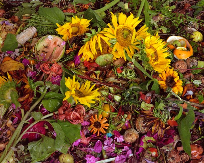 Beauty in Decomposition: The Environmental Message of Compost – World ...