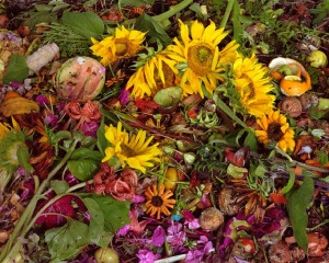 World Sensorium Conservancy Beauty in Decomposition Environmental Message of Compost Carll Goodpasture