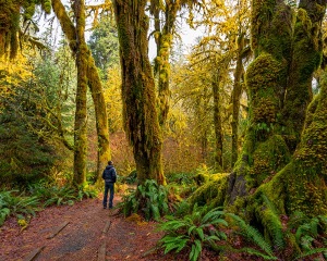 World Sensorium Conservancy The Oldest Ecosystems on Earth