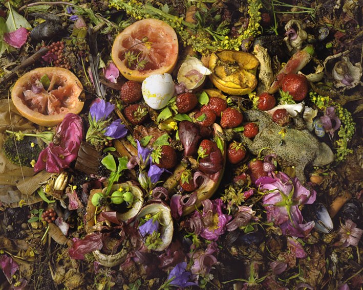 World Sensorium Conservancy Beauty in Decomposition Environmental Message of Compost Carll Goodpasture