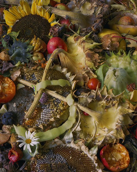 World Sensorium Conservancy Beauty in Decomposition Environmental Message of Compost Carll Goodpasture