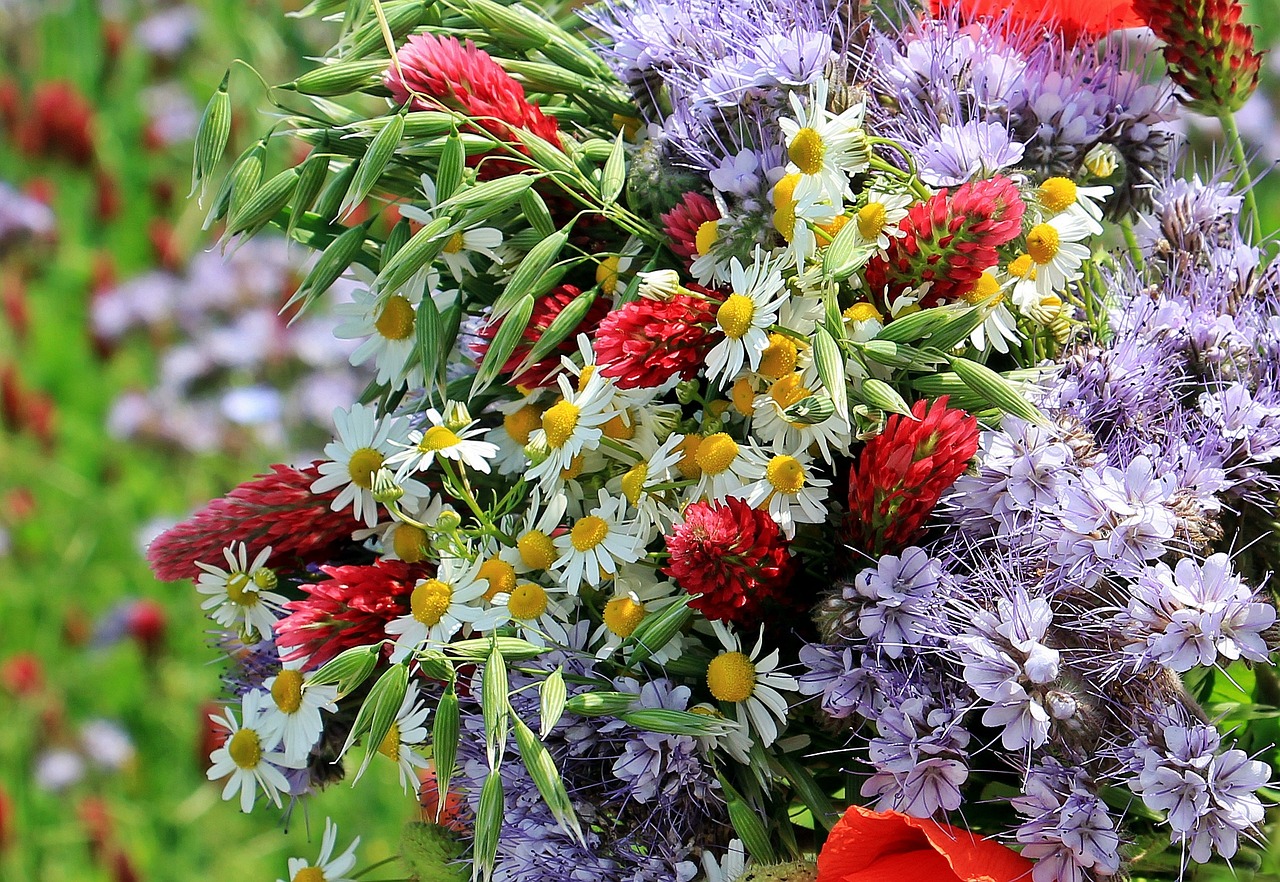 The Benefits of Buying Wedding Flowers Locally – World Sensorium ...
