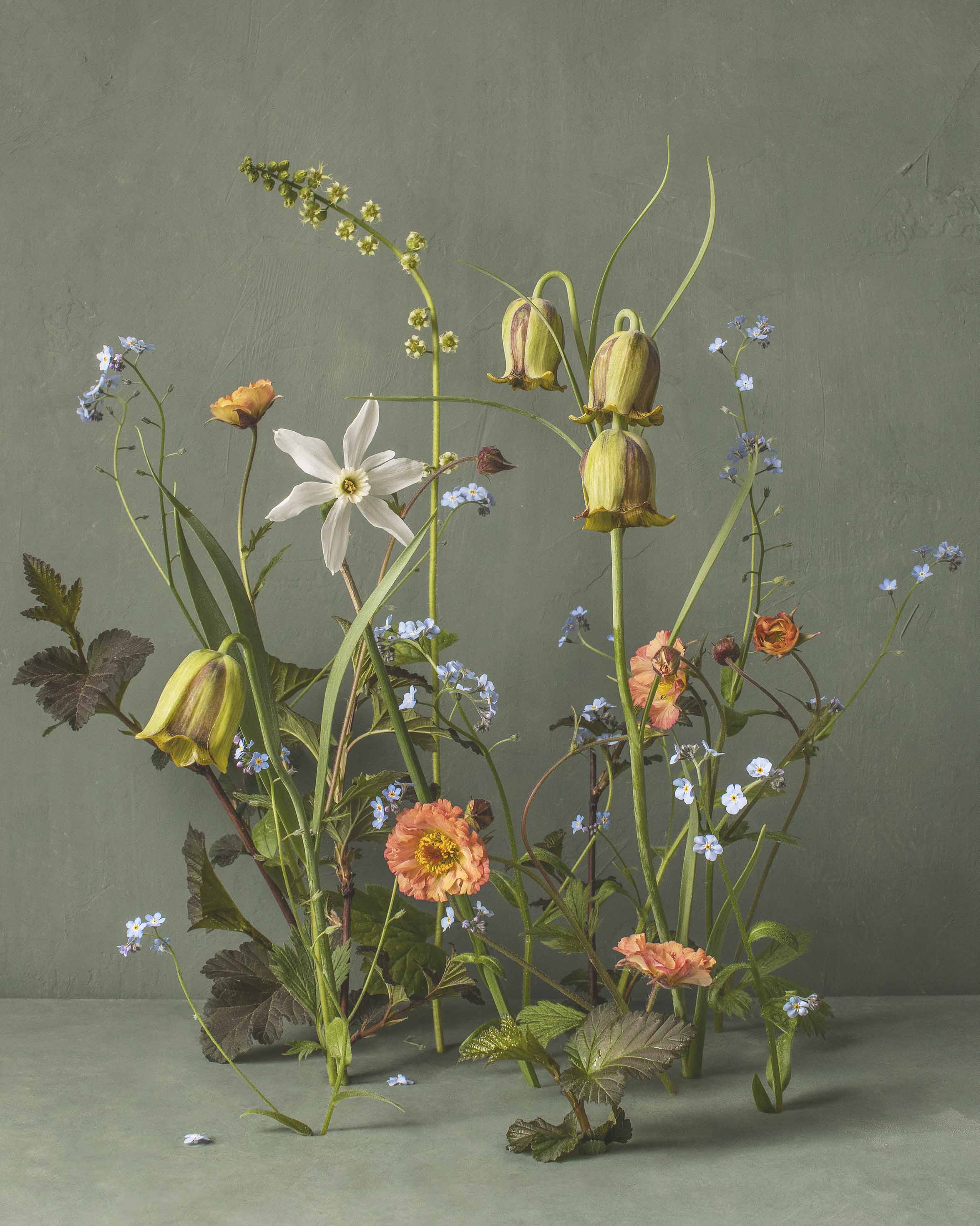 Ficaria Art by Floral Artist and Photographer Kreetta Jarvenpaa