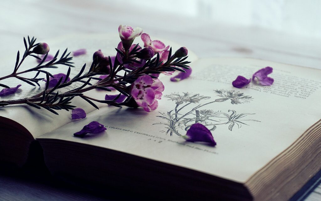 goth purple flowers on book page