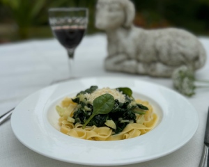 spinach pasta recipe