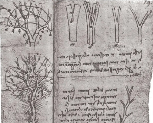 Leonardo DaVinci Trees