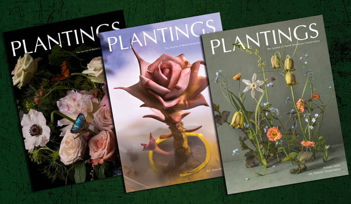 World Sensorium Conservancy Plantings Magazines Bundle Holiday Gift Offer Order Now