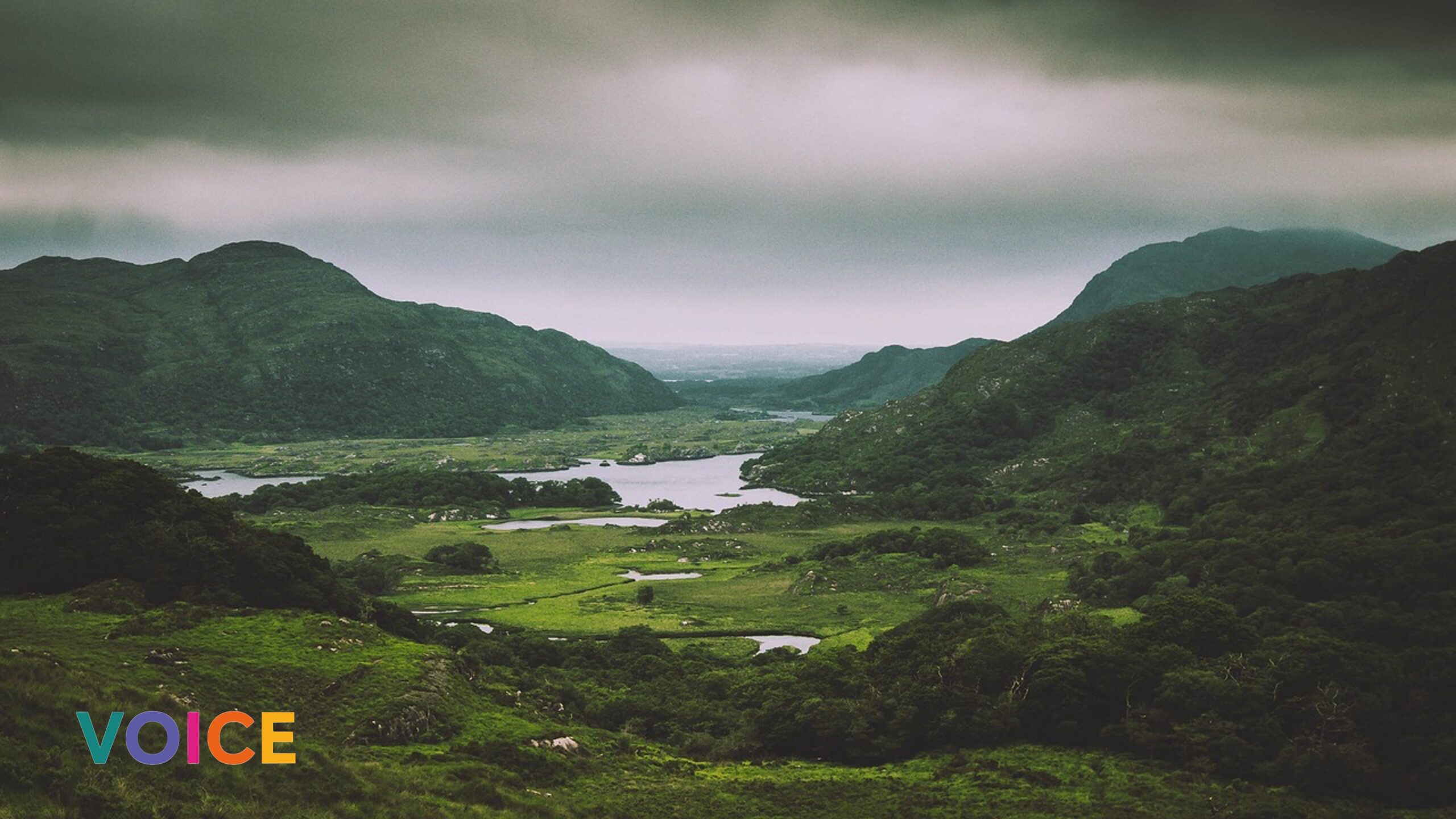 World Sensorium Conservancy Ireland