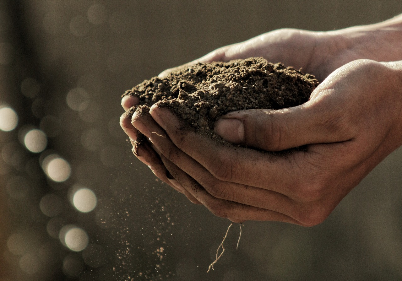 dirty hand palm soil sand World Sensorium Conservancy