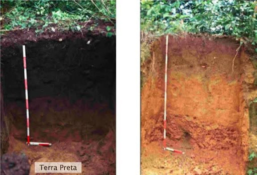 One meter deep soil profiles between typical infertile tropical Oxisol on the right and Terra Preta on the left