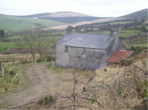 abandoned farmstead