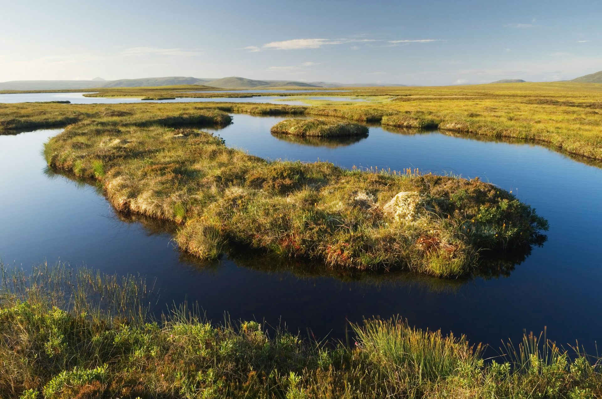 Peatlands at Forsinard in Sutherland Northern Scotland