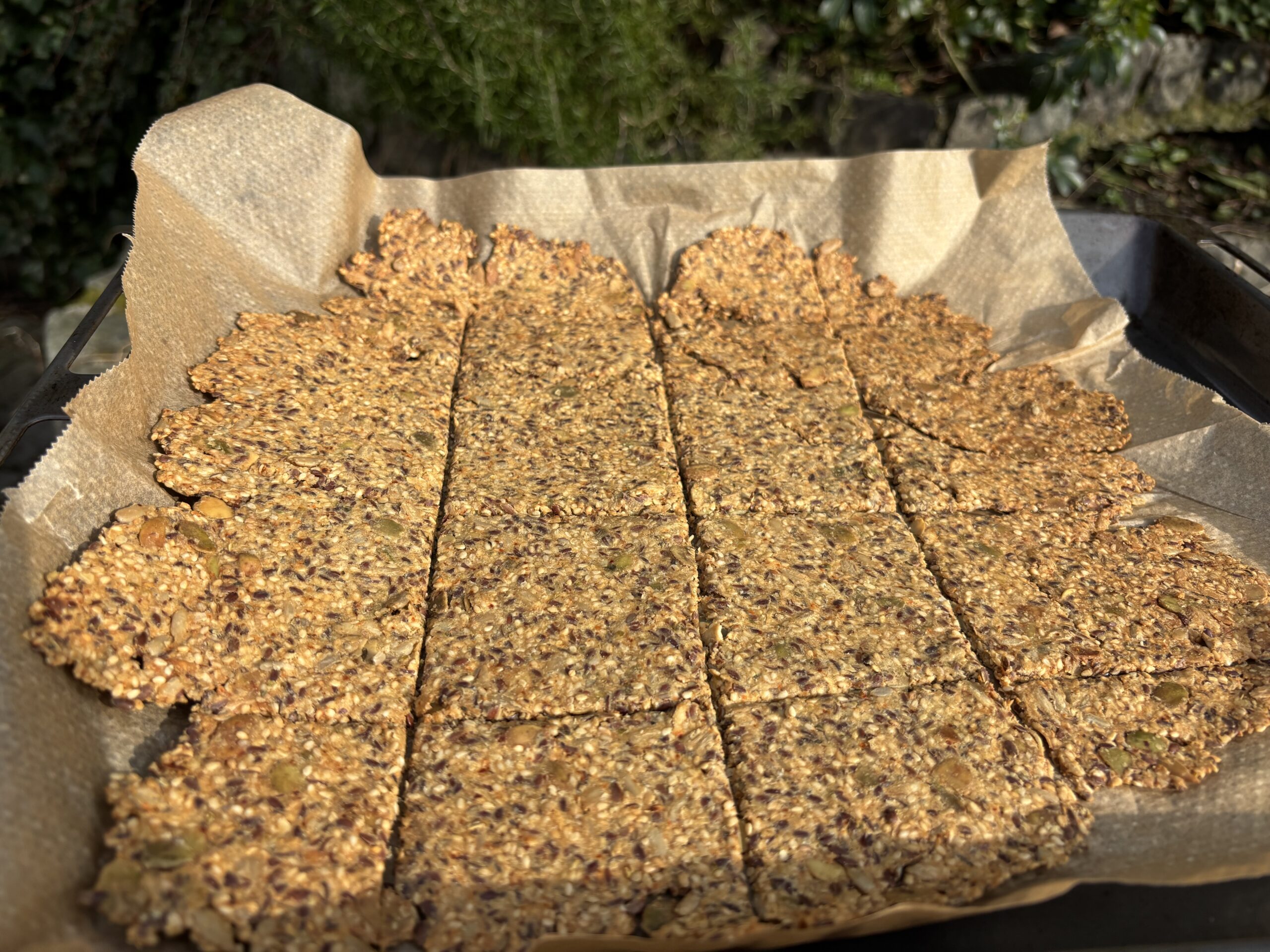 Versatile Seed Crackers Recipe World Sensorium Conservancy