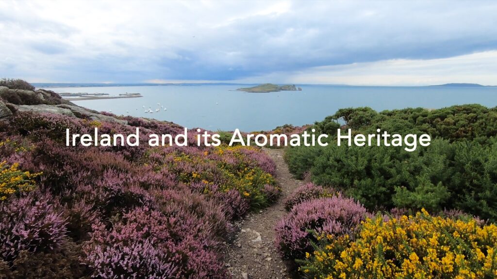 Ireland and its Aromatic Heritage Documentary World Sensorium Conservancy