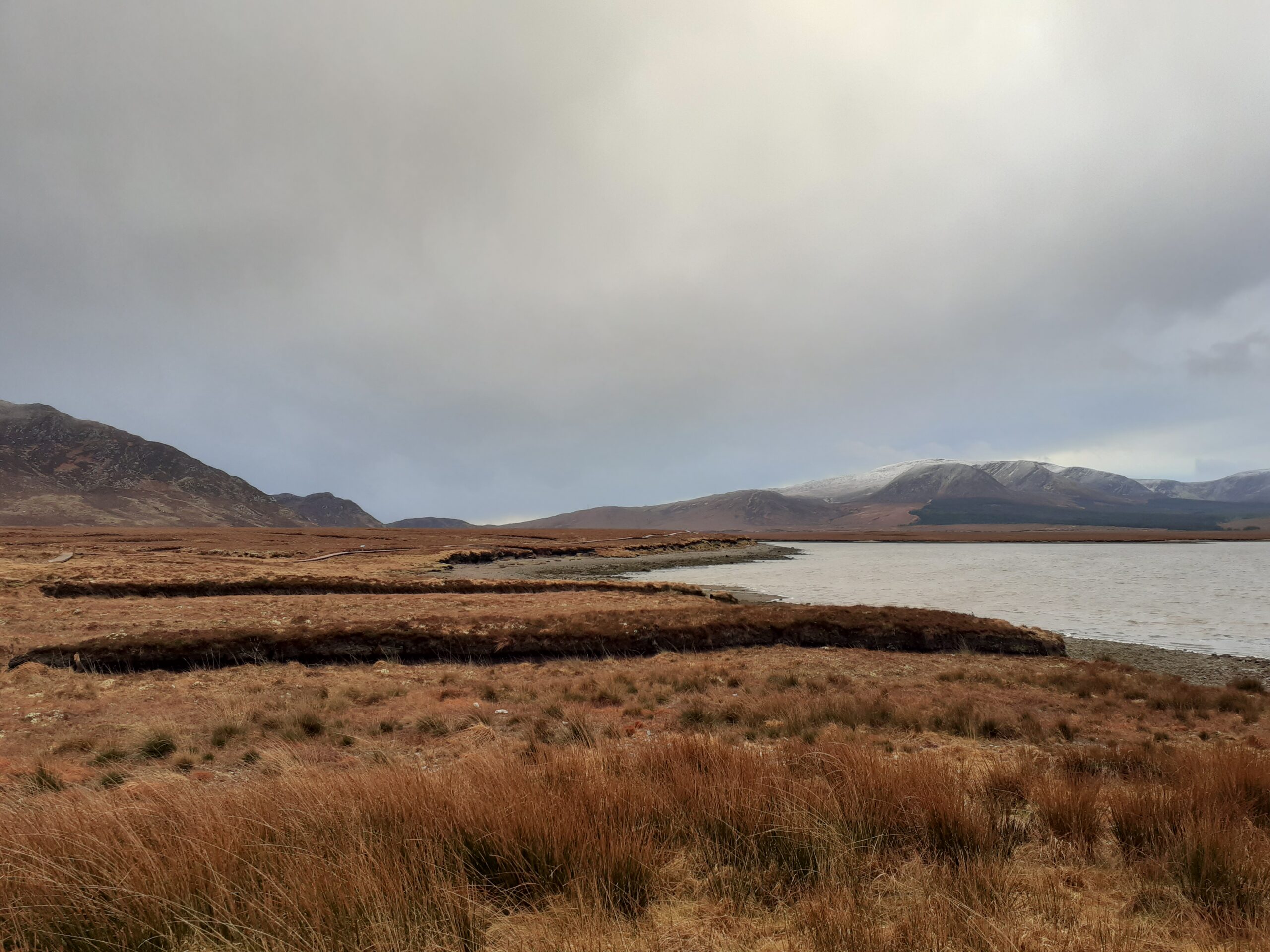 Blanket Bog Mayo