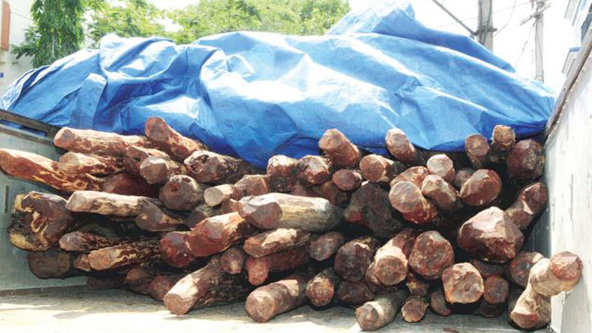 evidence of sandalwood smuggling 2015 Karnataka