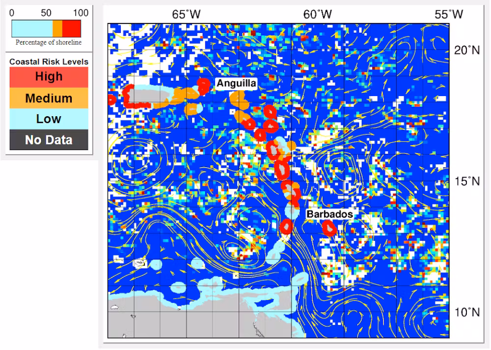 A map shows sargassum around many of the eastern Carribbean islands.