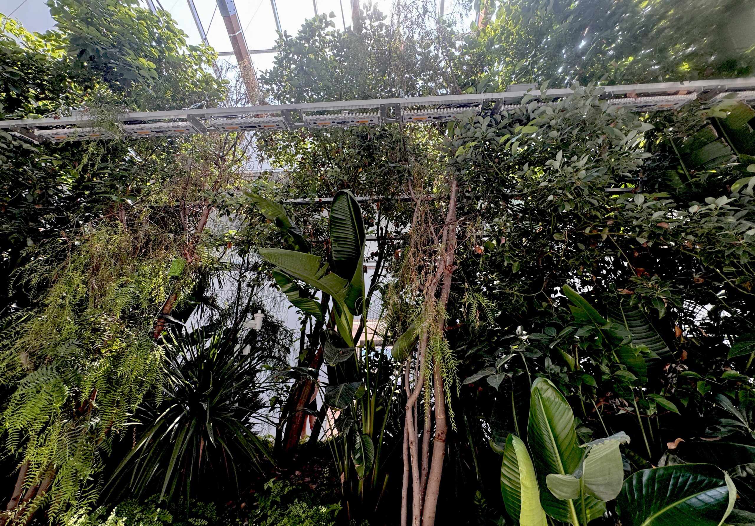 Building Biospheres