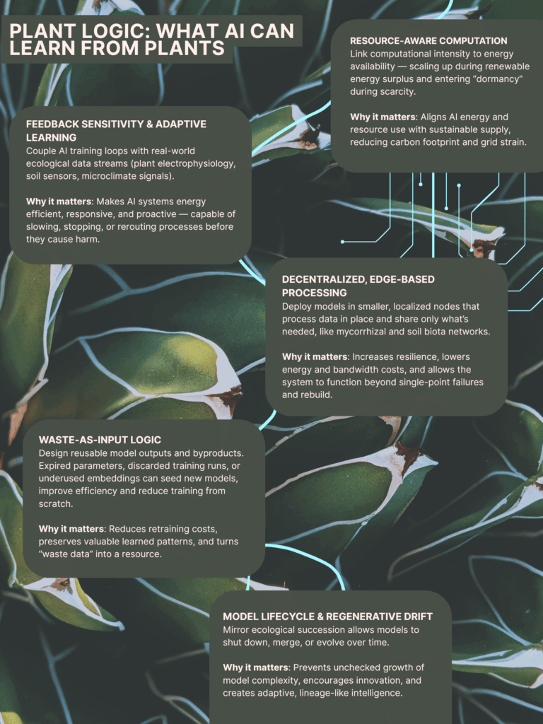 PLANT LOGIC: WHAT Al CAN LEARN FROM PLANTS
RESOURCE-AWARE COMPUTATION
Link computational intensity to energy availability — scaling up during renewable energy surplus and entering “dormancy” during scarcity.
Why it matters: Aligns Al energy and resource use with sustainable supply, reducing carbon footprint and grid strain.
FEEDBACK SENSITIVITY & ADAPTIVE LEARNING
Couple Al training loops with real-world ecological data streams (plant electrophysiology, = soil sensors, microclimate signals).
Why it matters: Makes Al systems energy efficient, responsive, and proactive — capable of slowing, stopping, or rerouting processes before they cause harm.
DECENTRALIZED, EDGE-BASED PROCESSING
Deploy models in smaller, localized nodes that process data in place and share only what's needed, like mycorrhizal and soil biota networks.
Why it matters: Increases resilience, lowers energy and bandwidth costs, and allows the system to function beyond single-point failures and rebuild.
WASTE-AS-INPUT LOGIC
Design reusable model outputs and byproducts. Expired parameters, discarded training runs, or underused embeddings can seed new models, improve efficiency and reduce training from scratch.
Why it matters: Reduces retraining costs, preserves valuable learned patterns, and turns “waste data” into a resource.
MODEL LIFECYCLE & REGENERATIVE DRIFT
Mirror ecological succession allows models to shut down, merge, or evolve over time.
Why it matters: Prevents unchecked growth of model complexity, encourages innovation, and creates adaptive, lineage-like intelligence.